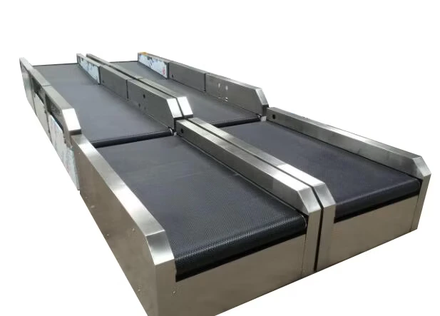 Baggage Conveyor Belt System