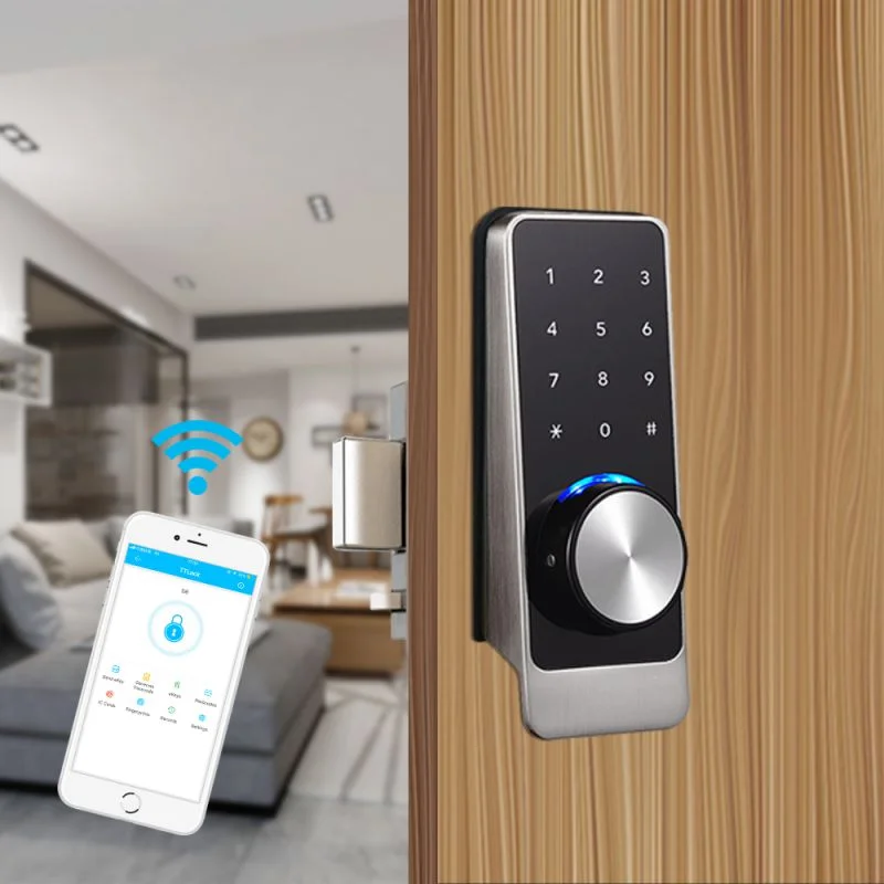 Smart Wi-Fi Bluetooth Door Lock