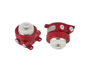 Flame Proof Detector