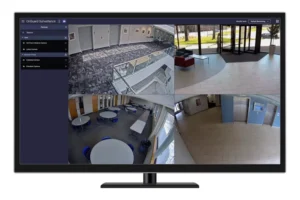 onguard surveillance